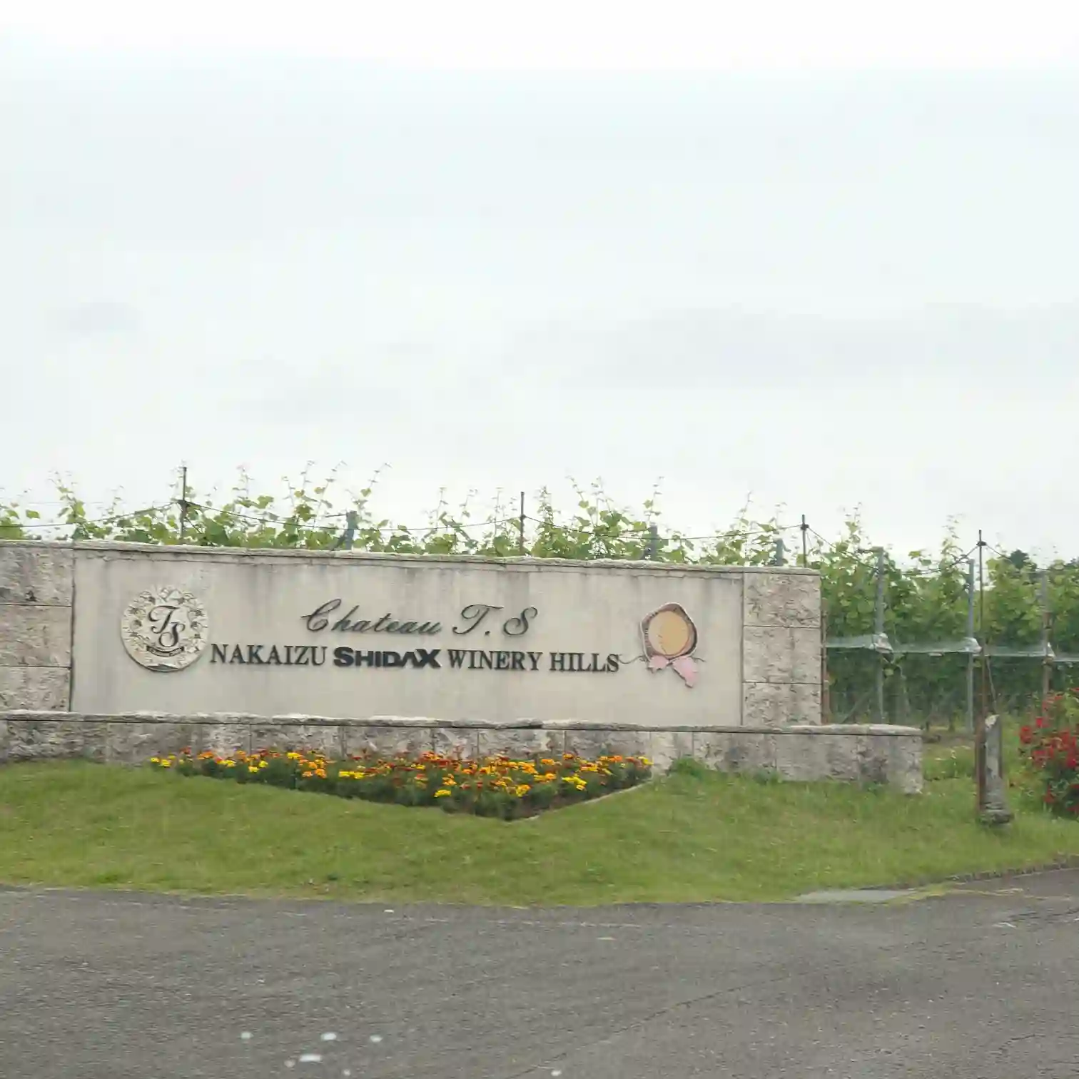 Chateau T.Sと書かれた中伊豆ワイナリーの石造りの入口看板とブドウ畑
