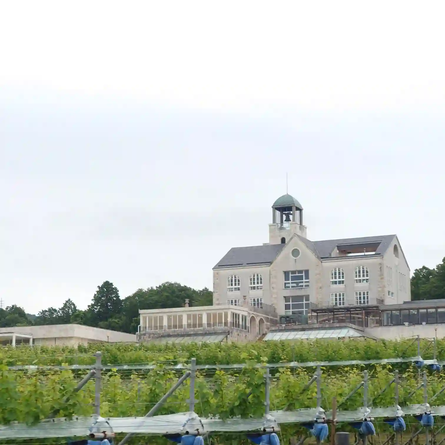 中伊豆ワイナリーヒルズにあるシャトーの建物と鐘楼の全景