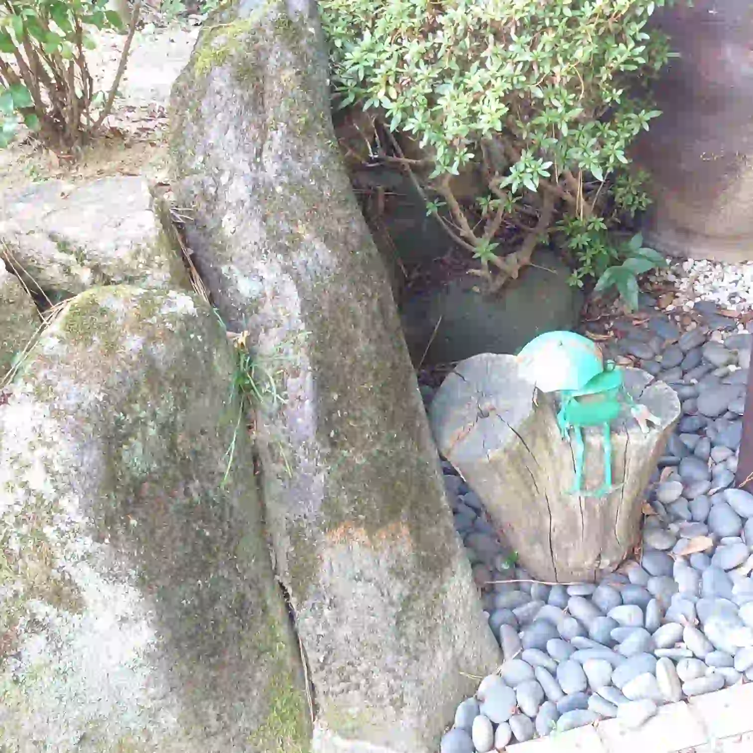 玄関脇のカエルのオブジェ