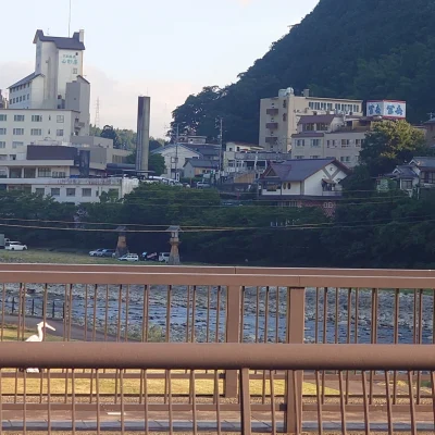 飛騨川に架かる橋の中央、欄干越しに下呂温泉の街並みと対岸の菊半旅館を望む朝ランの景色—菊半旅館発3kmコース