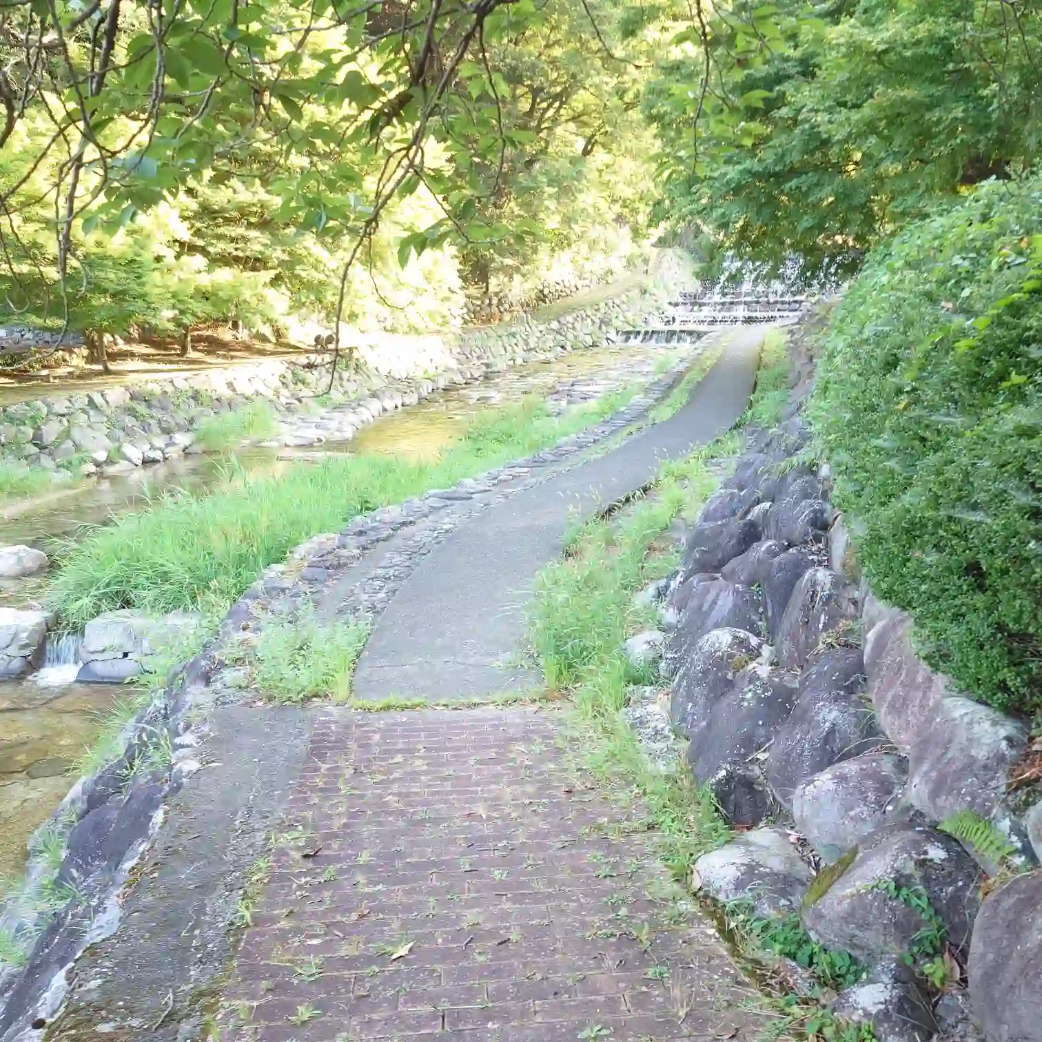 阿多野川の上流へ、国道の橋をくぐると木陰の遊歩道に変化。石積みの渓流とせせらぎで涼しさ増す区間—菊半旅館発3kmコース
