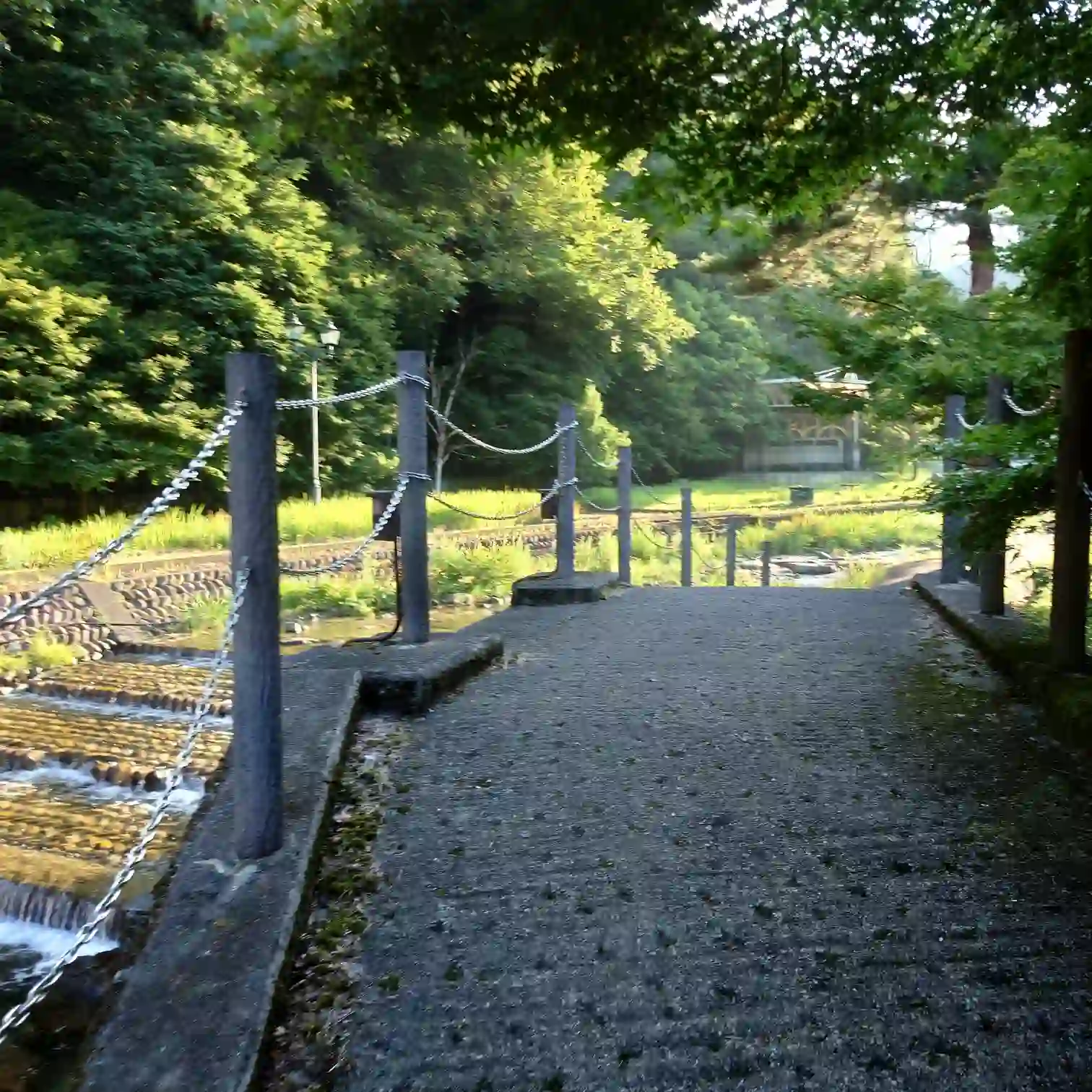 阿多野川上流のチェーン柵が続く河畔の遊歩道、木陰に朝日が差し込むコンクリ舗装の涼やかな区間—下呂温泉・菊半旅館発3kmランコース