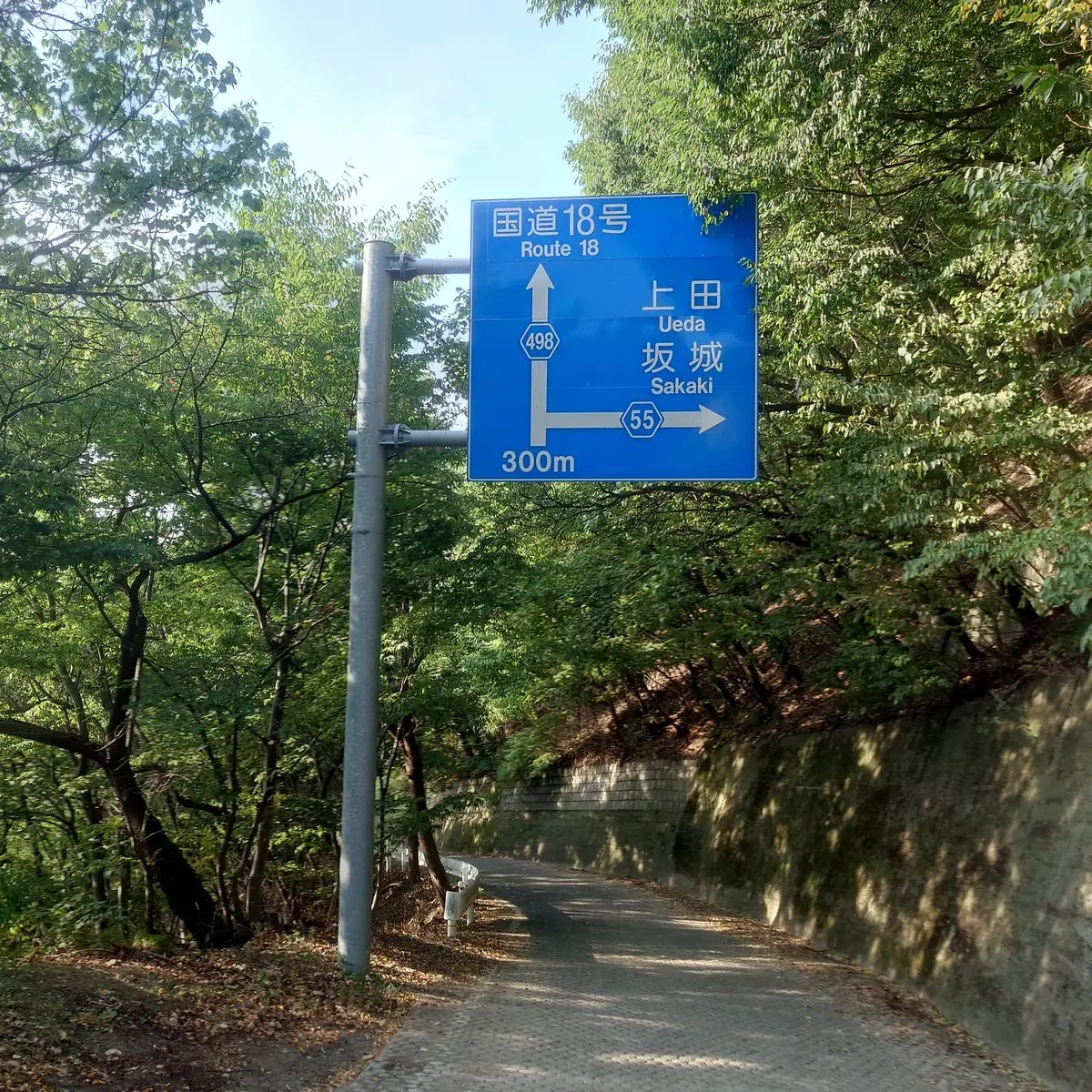 城山善光寺ラン、下り道の終盤に国道18号の標識が現れる。ゴールが近づき、足取りも軽くなる瞬間。