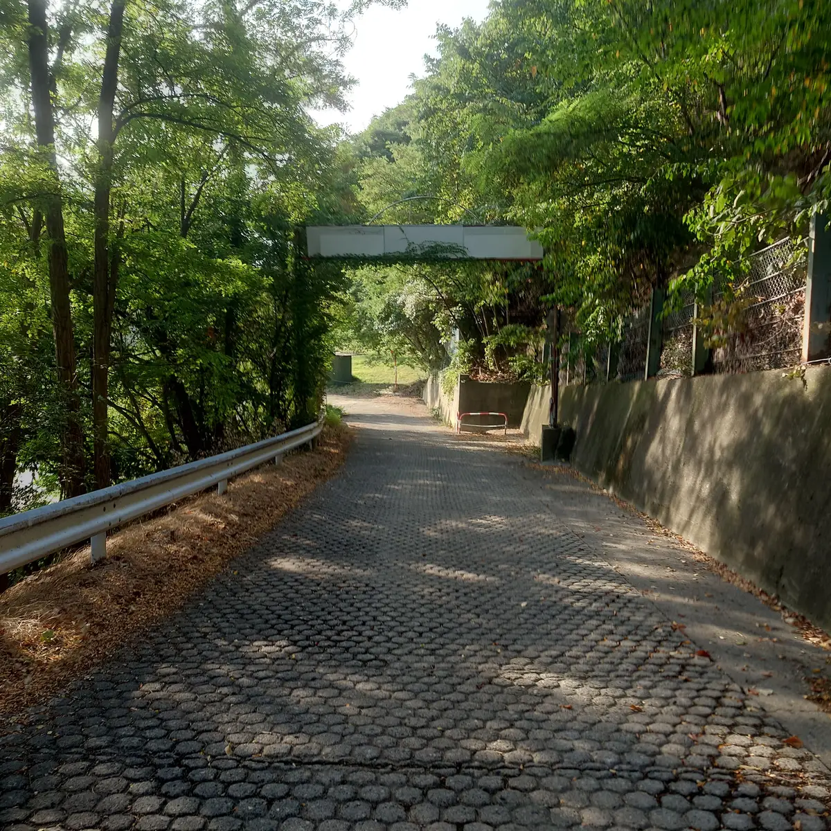 長野 戸倉上山田温泉 城山 善光寺 登山 下り坂のラスト区間