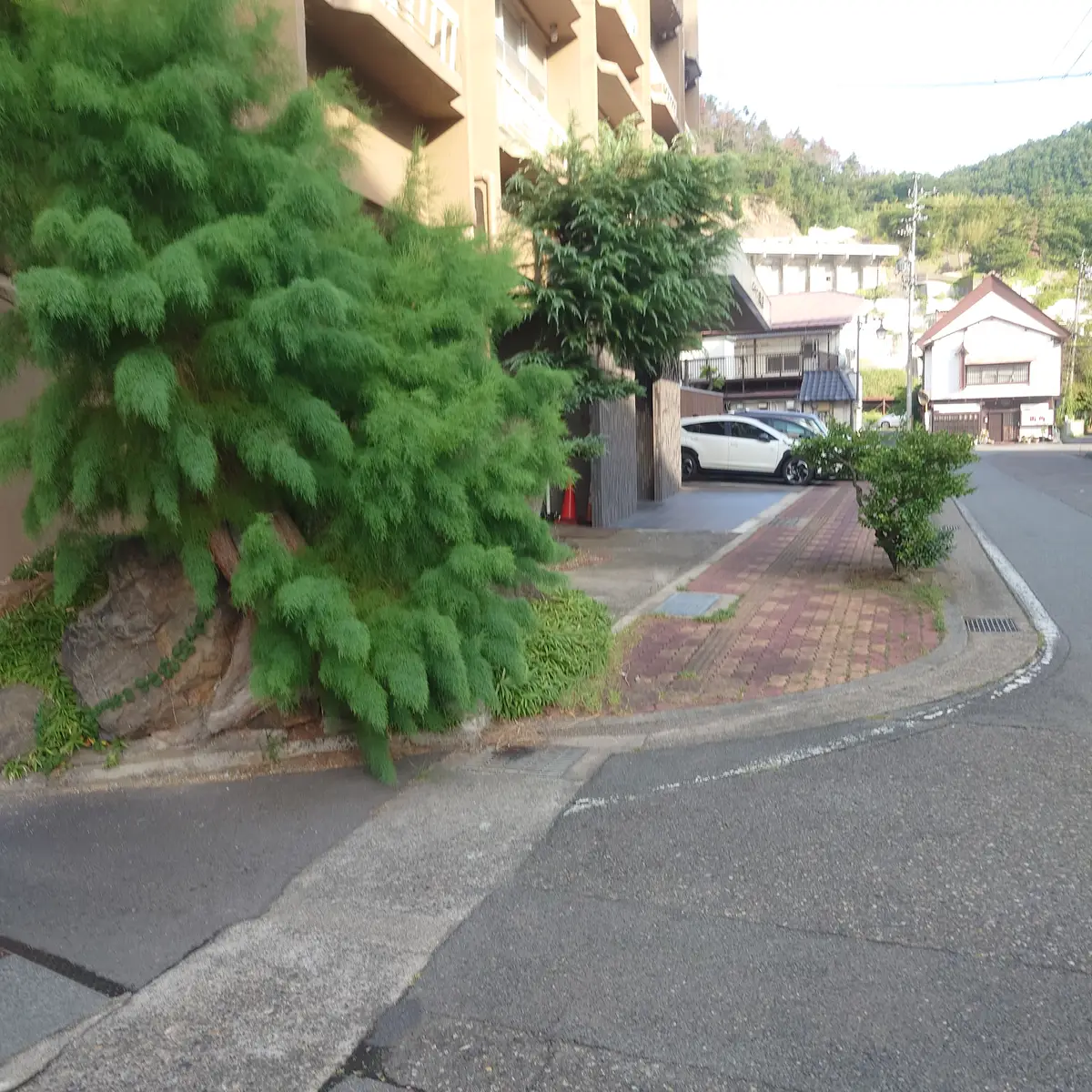 ホテル晴山前の歩道と青々とした植栽に囲まれた朝の街角