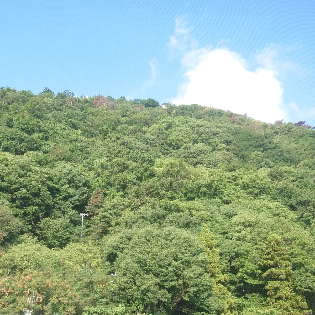 長野 戸倉上山田温泉 ホテル晴山 客室露天風呂から望む城山の緑景