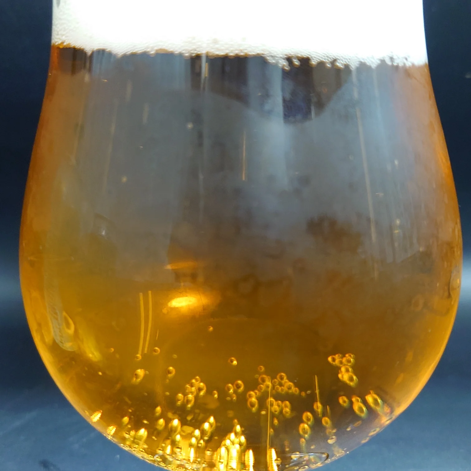 グラスの液面アップ。澄んだ黄金色に細かな気泡が立ち上る