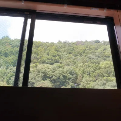 半露天から望む城山の緑。