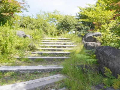 嬬恋高原ブルワリーのアプローチ石段 群馬・嬬恋高原ブルワリーのアプローチ、緑に囲まれた石段