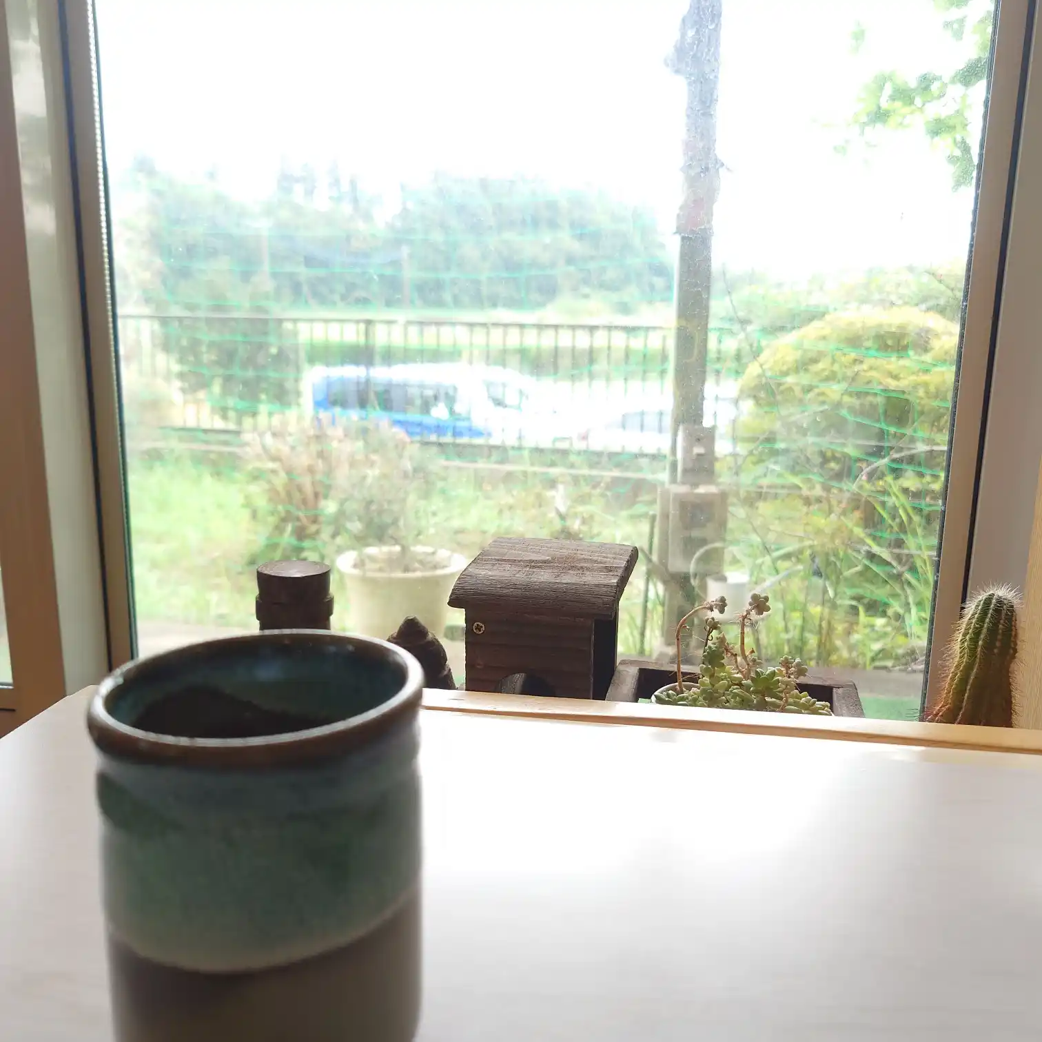 如月|窓際の湯呑と緑景 如月の窓辺席。湯呑を前に、外の緑を眺めながら静かに一息