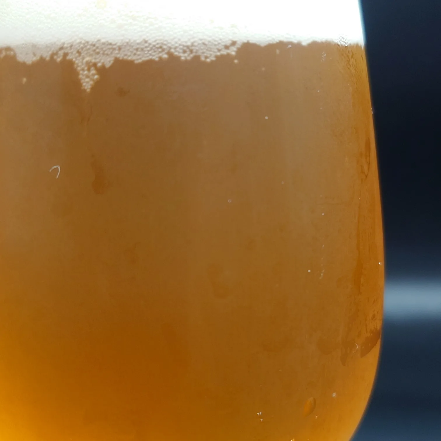 雷電カンヌキIPA|濃厚な琥珀色と泡立ちのアップショット 雷電カンヌキIPAの液面をアップで撮影した写真。にごりのある濃い琥珀色とクリーミーな泡が特徴的