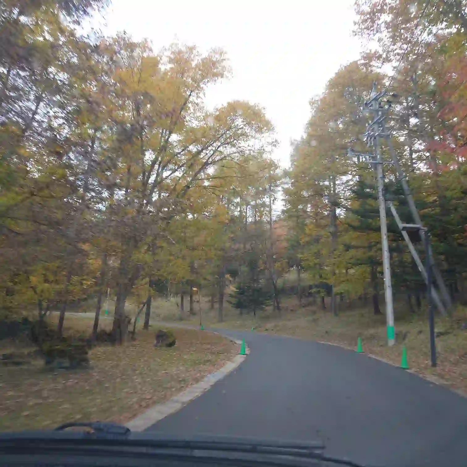 エクシブ蓼科へ向かう森の道　紅葉の木々に囲まれたカーブ