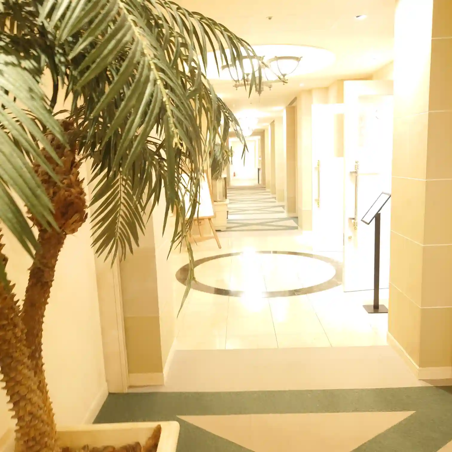 会員制ホテル エクシブ蓼科 クアプラザへ向かう通路　白基調で明るい廊下　観葉植物と案内スタンドが見える