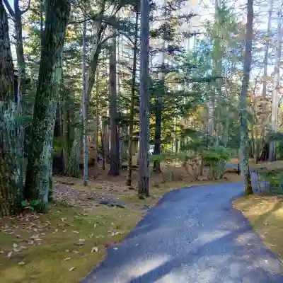 会員制ホテル エクシブ蓼科 敷地内の外歩きコース　木立の中をカーブする小道　朝の光が差し込む