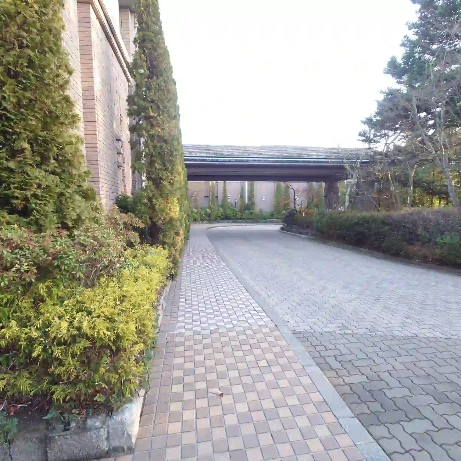 グランドエクシブ軽井沢へ向かう長いアプローチ　パーキングからスーツケースを引いて森の小径を歩く到着前の風景