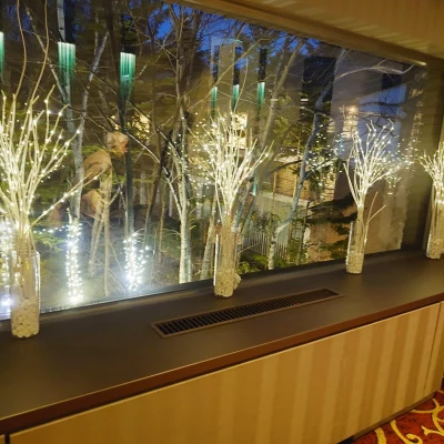 グランドエクシブ軽井沢 イタリアン「ルッチコーレ」入口付近から眺める外の景色（彩りの装飾と夜の雰囲気）