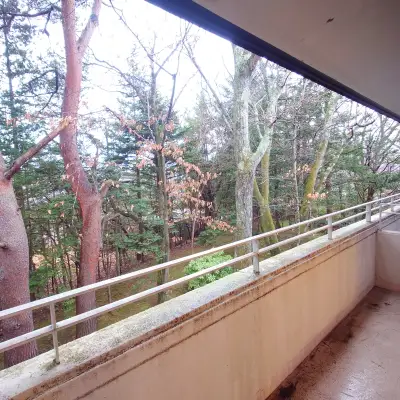 グランドエクシブ軽井沢の朝景色　バルコニーから見下ろす森と冷たい空気の気配