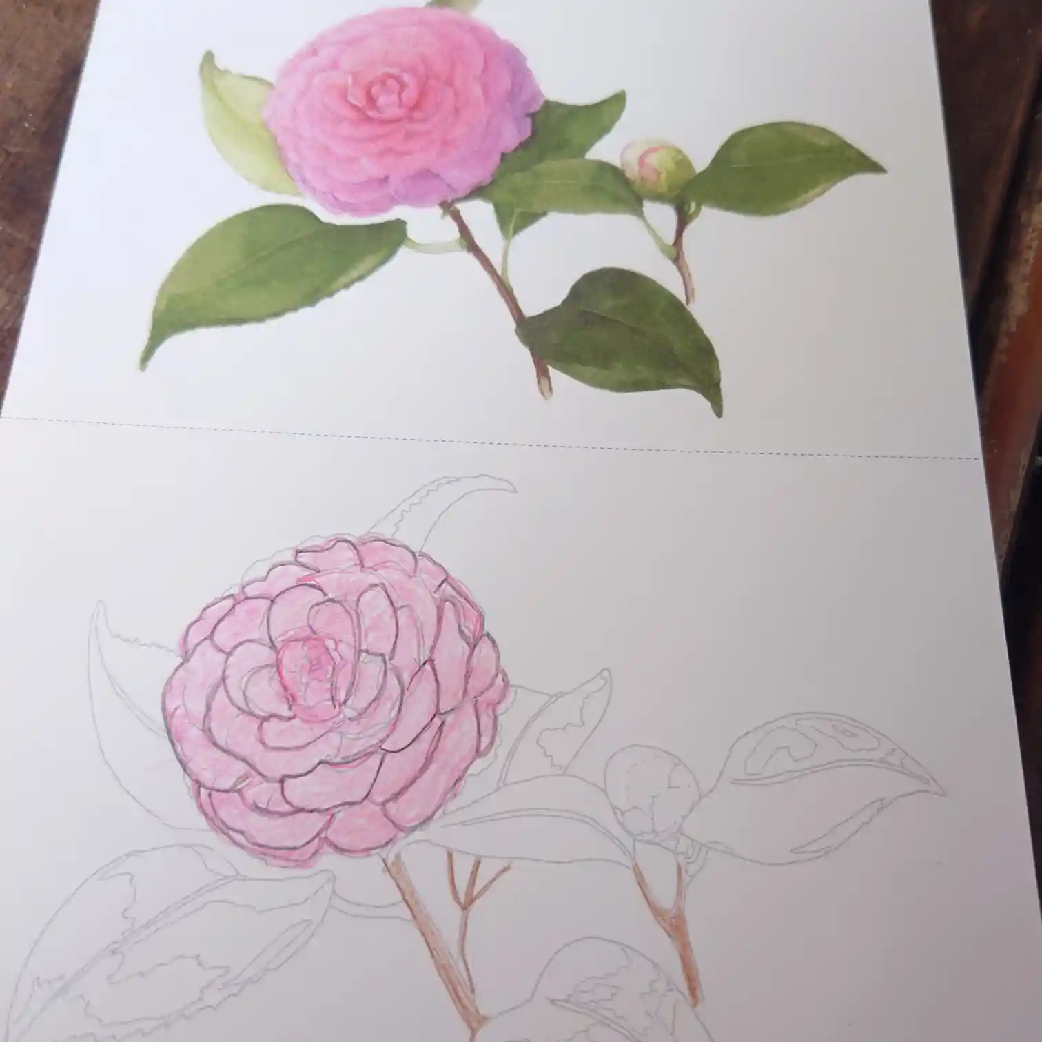 丁寧に塗られたピンクの花の塗り絵