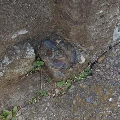 コンクリートの地面に埋め込まれた、赤い印が残る境界杭の拡大写真