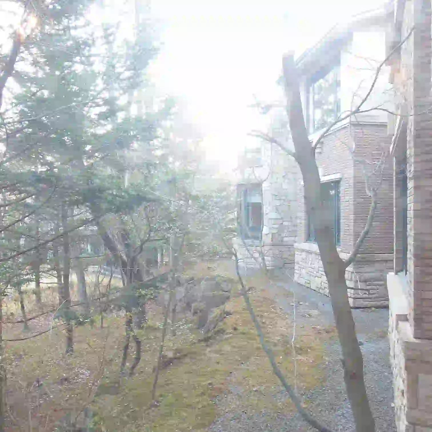 コンサバトリーからの外の景色