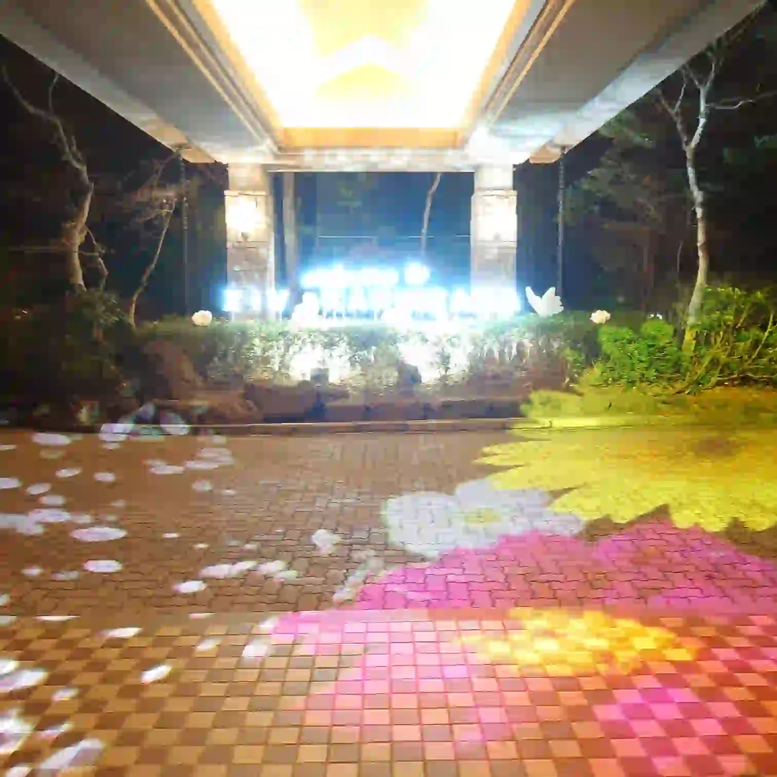 本館エントランスのライトアップ