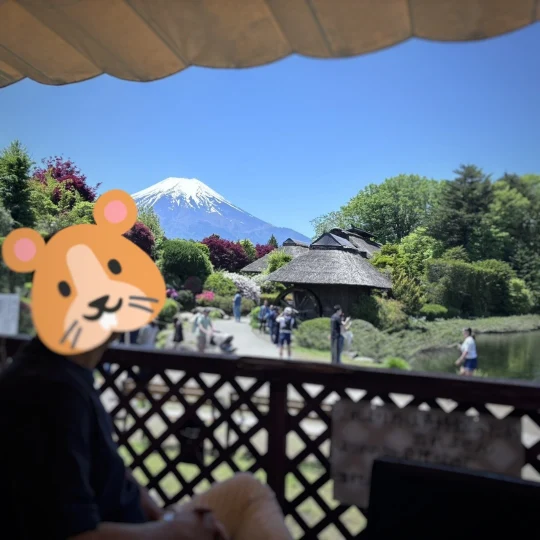 蕎麦屋の窓から見える絶景