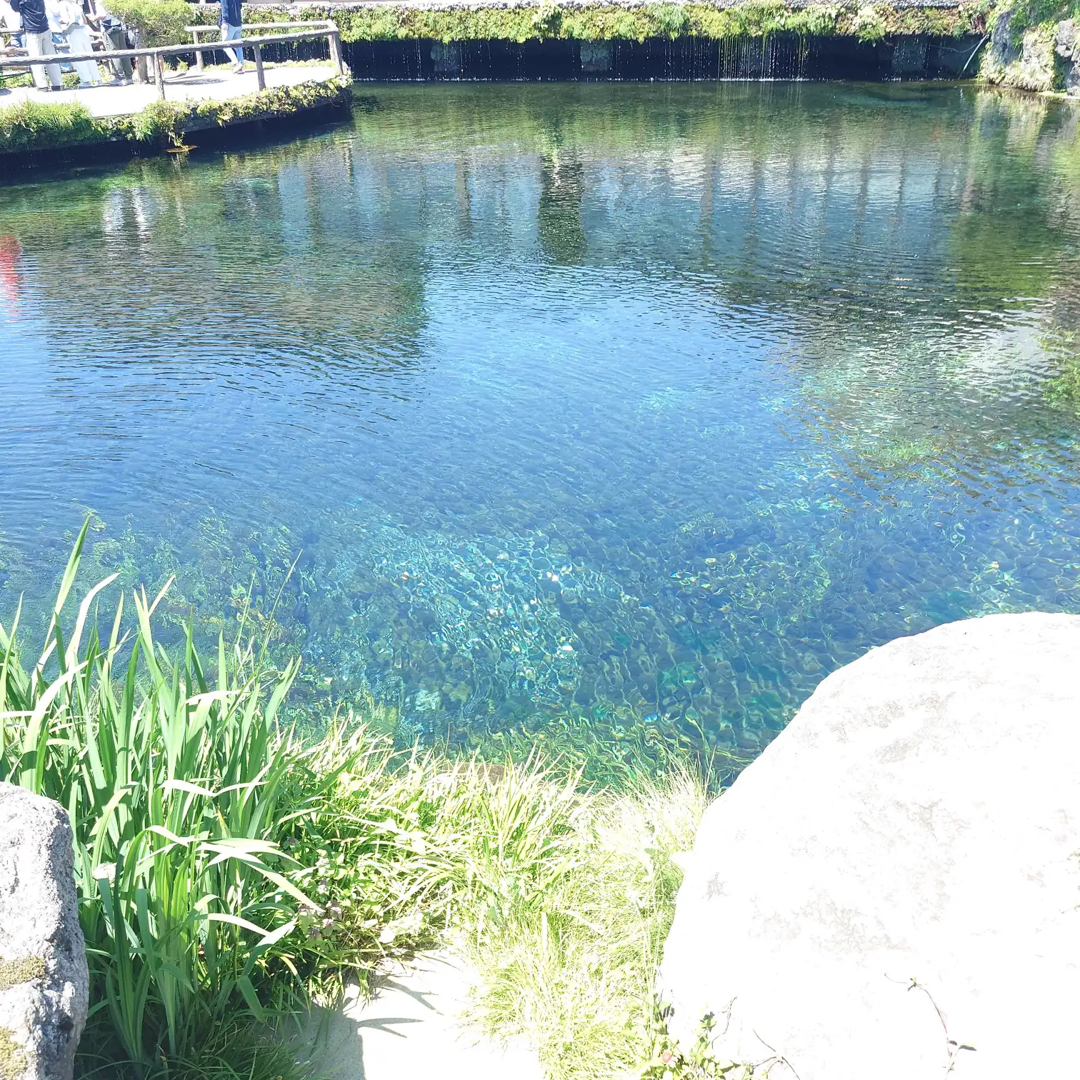 底まで透き通る美しい湧水