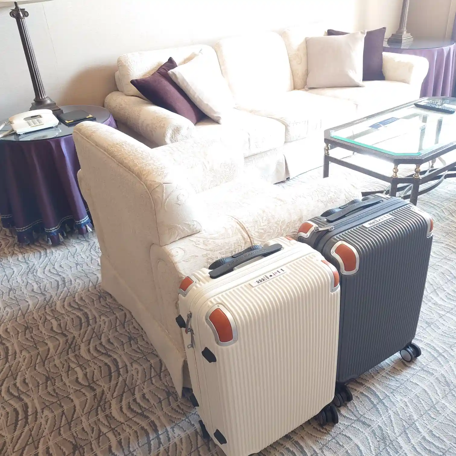 リビングのソファと荷物