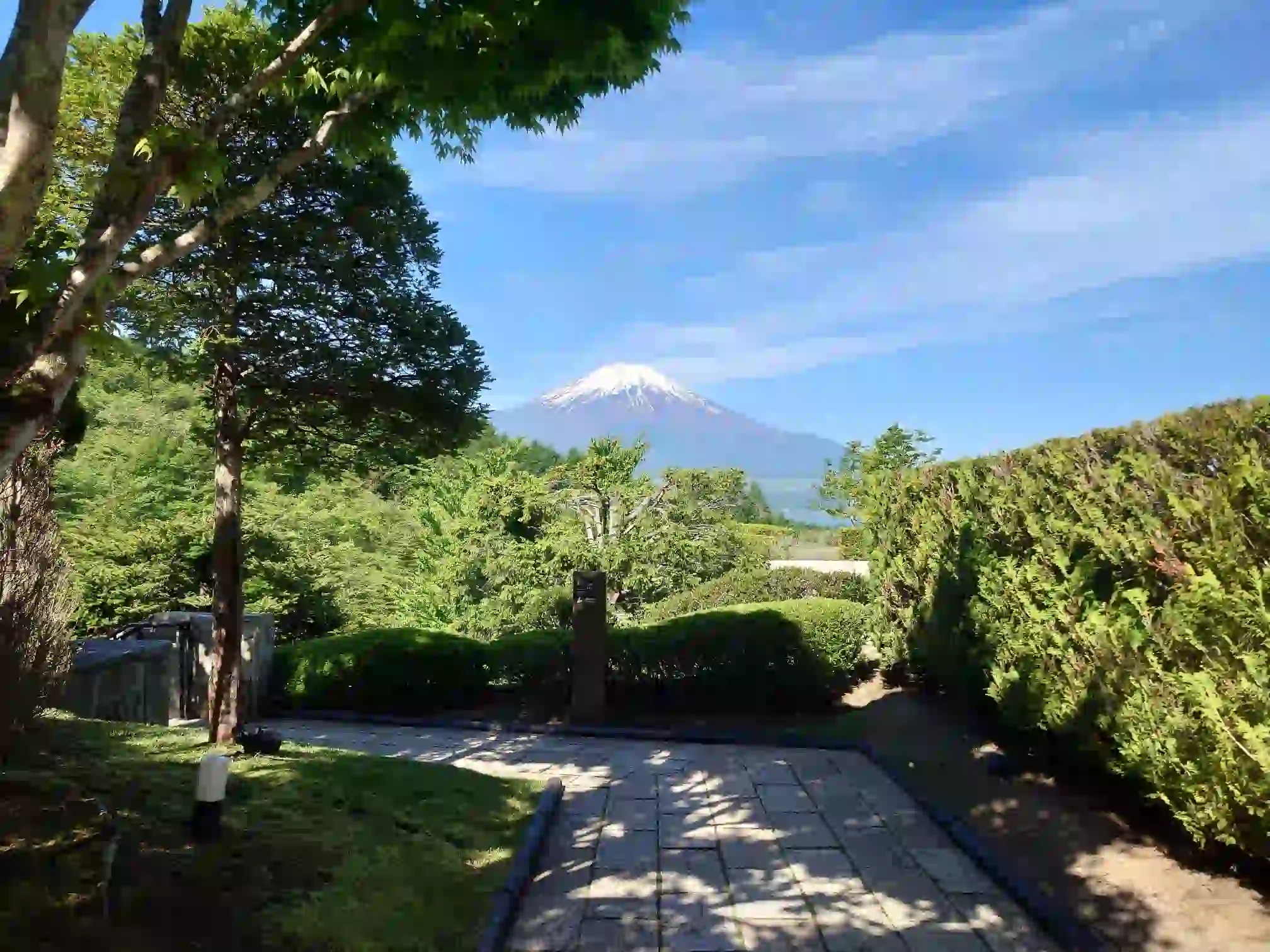 庭からの富士山