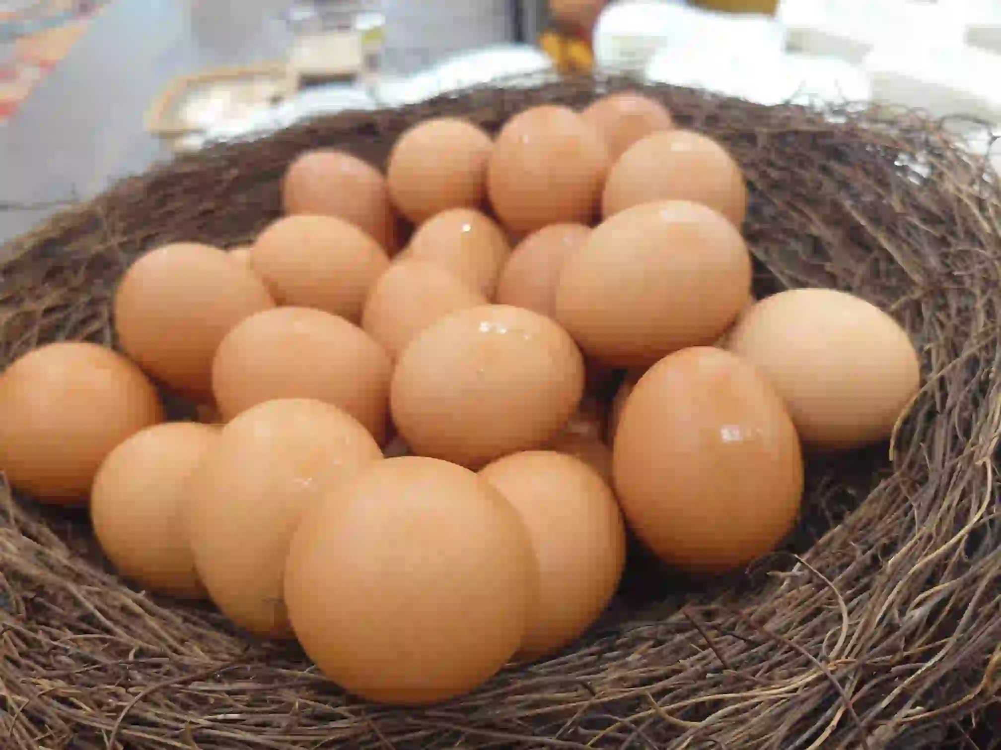 日本の宿 古窯の朝食ビュッフェに並ぶ新鮮な卵