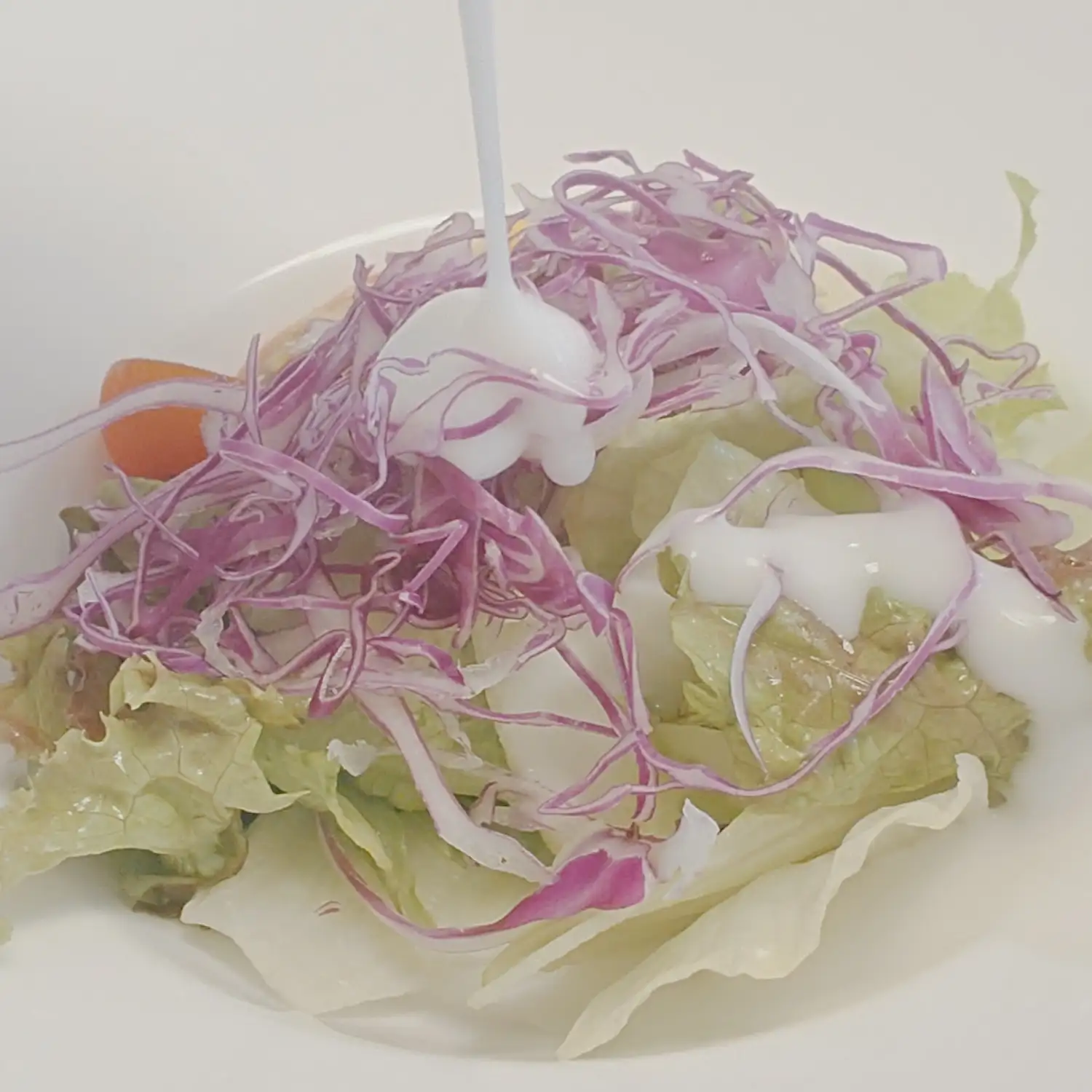 エクシブ伊豆の部屋食に添えられた新鮮な野菜サラダ