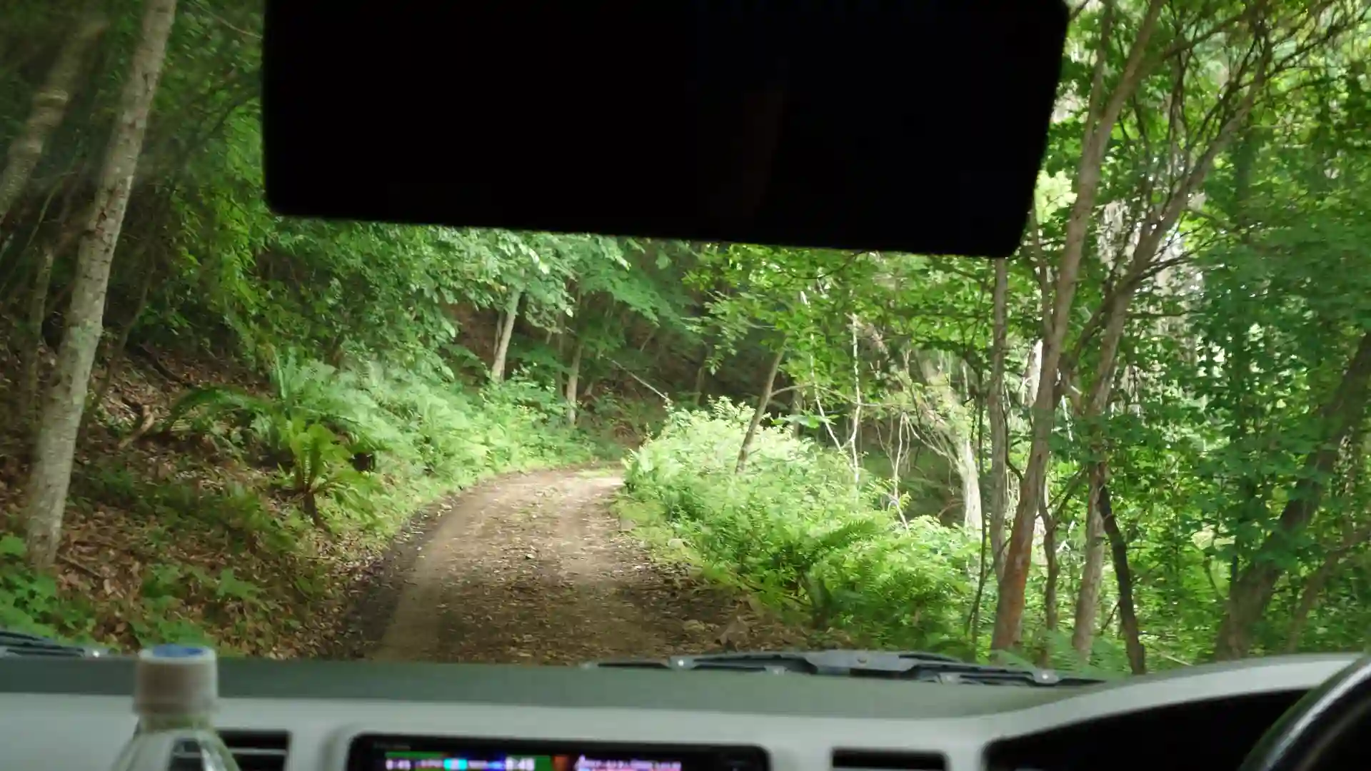 パラグライダーテイクオフ地点へ続く森の中の未舗装路