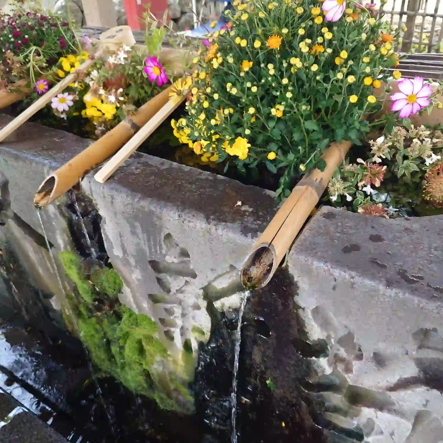 上田城跡公園内の眞田神社にある色鮮やかな花手水