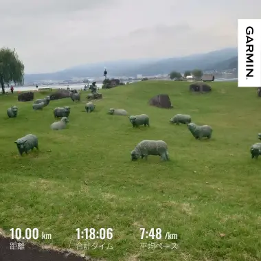 諏訪湖畔を10km走り終えたGarminの記録と朝の湖畔